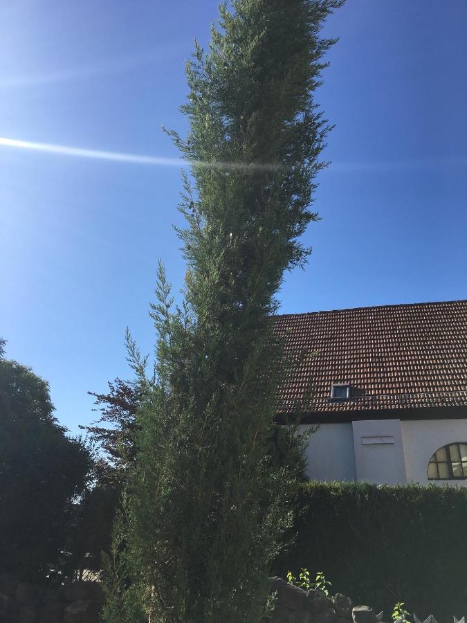 Apartmán Tor Zum Pfaelzerwald Pirmasens Exteriér fotografie